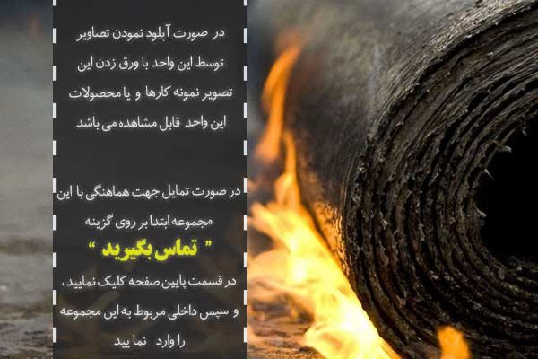 ایزوگام هادی