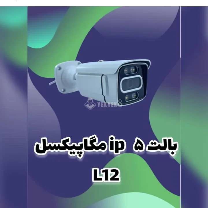 فراکو دال